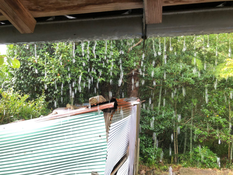 雨樋が機能してない